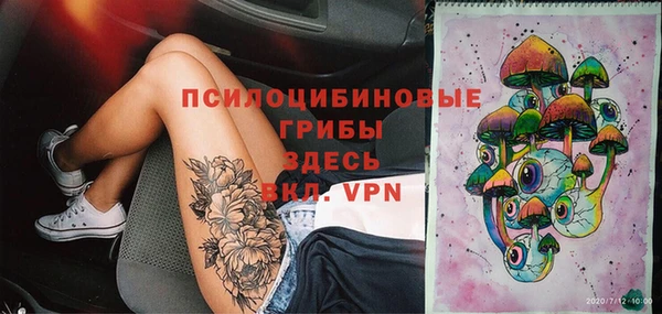 PSILOCYBIN Няндома