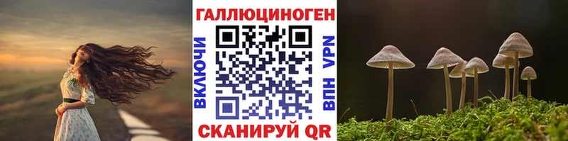 Псилоцибиновые грибы мицелий  купить наркотики сайты  Смоленск 