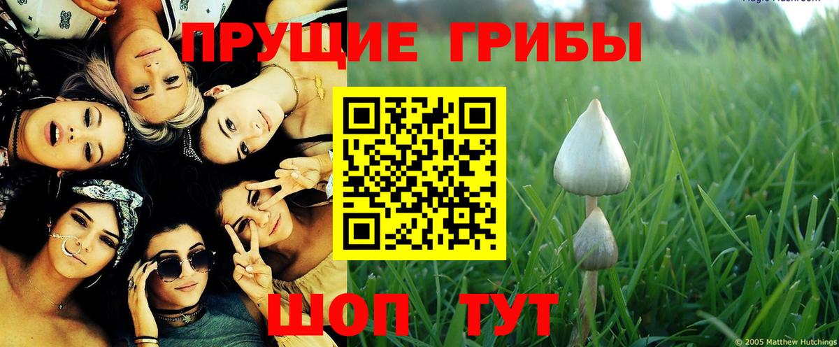 Галлюциногенные грибы Magic Shrooms  Вход с VPN  где купить наркоту  Смоленск 