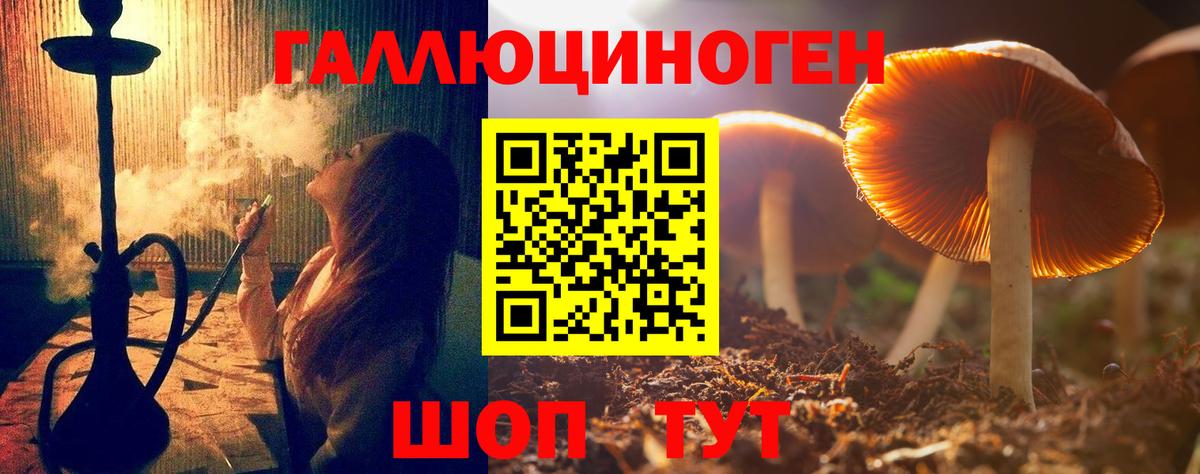 Галлюциногенные грибы Cubensis Смоленск