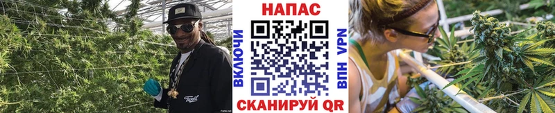 закладка  Смоленск  Конопля семена 